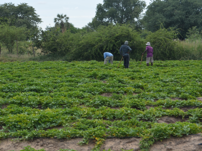 Bank of Namibia hosts its 25th Annual Symposium, themed: “Global Value Chains for Inclusive Development: How Can Namibia Position its Agriculture Sector?”  