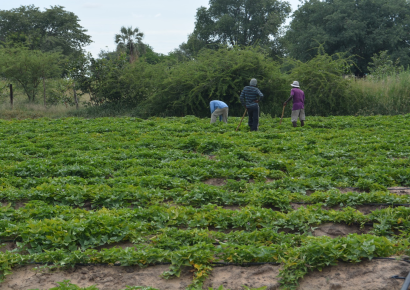 Bank of Namibia hosts its 25th Annual Symposium, themed: “Global Value Chains for Inclusive Development: How Can Namibia Position its Agriculture Sector?”  