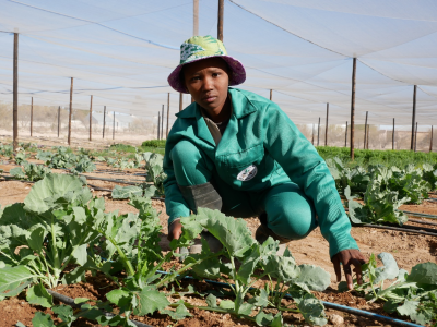 WFP and partners equip Namibian farmers with skills to process and market products to consumers.