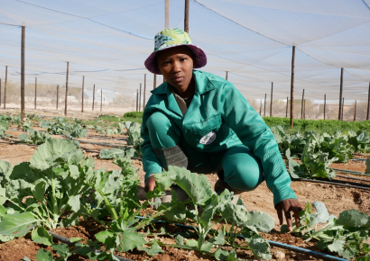 WFP and partners equip Namibian farmers with skills to process and market products to consumers.