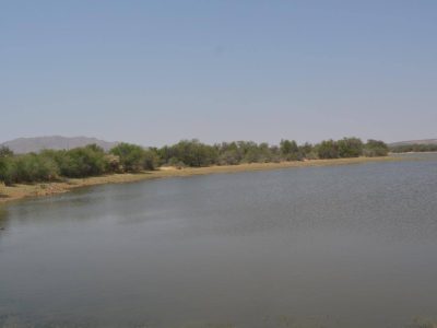 NAMWATER approves 100% irrigation supply for Hardap scheme 