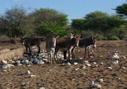 The Republic of Korea supports drought-stricken communities in Namibia
