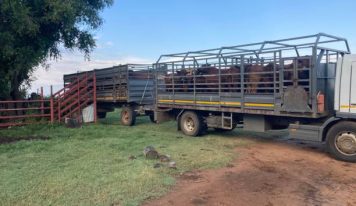 Northern Communal Farmers empowered with five (5) Trucks for transporting Livestock