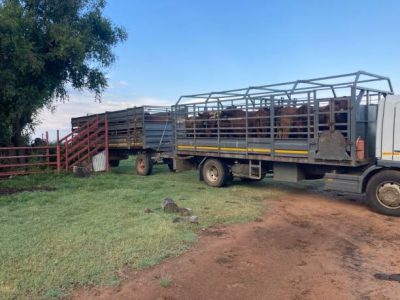 Northern Communal Farmers empowered with five (5) Trucks for transporting Livestock