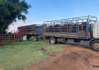 Northern Communal Farmers empowered with five (5) Trucks for transporting Livestock