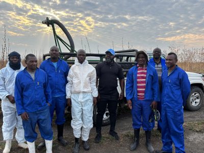 Outbreak of African Migratory locust in the Zambezi region