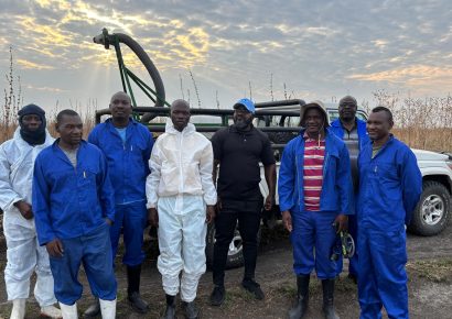 Outbreak of African Migratory locust in the Zambezi region