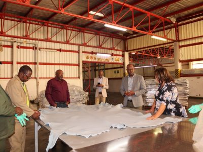 MEATCO makes first AFCFTA leather export to Kenya