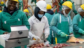 Government Clears Drought Relief Payments, Bringing Relief to Livestock Producers