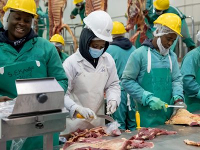 Government Clears Drought Relief Payments, Bringing Relief to Livestock Producers